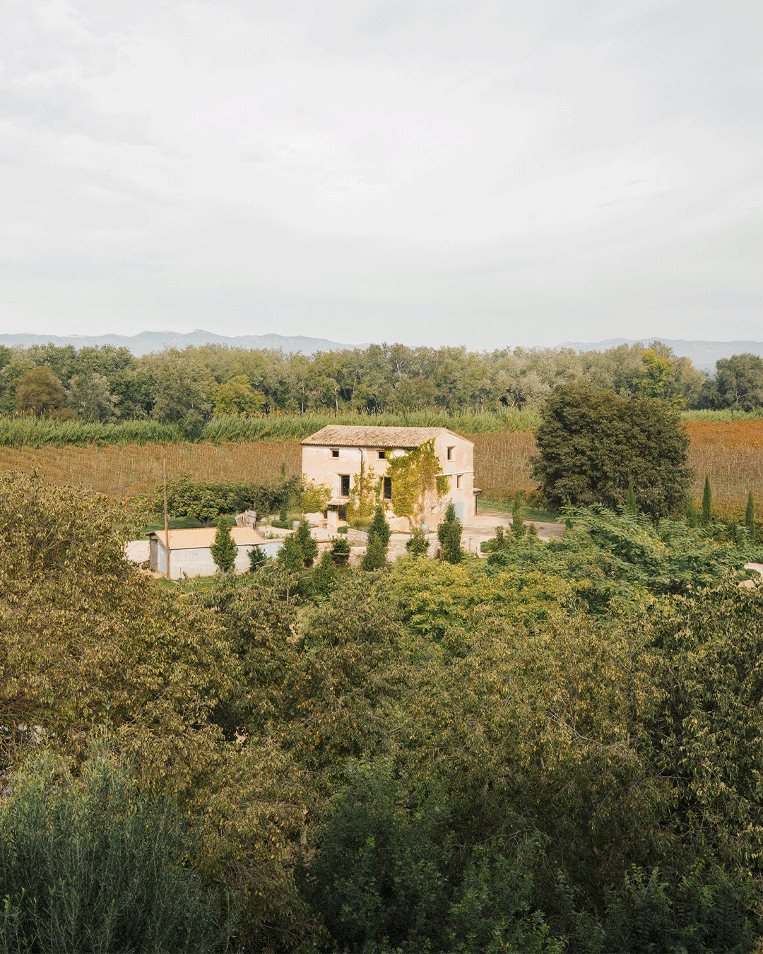 Masia de pedra envoltada d'arbres i vinyes amb muntanyes al fons