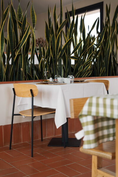 Taula parada del restaurant amb plantes verdes al fons