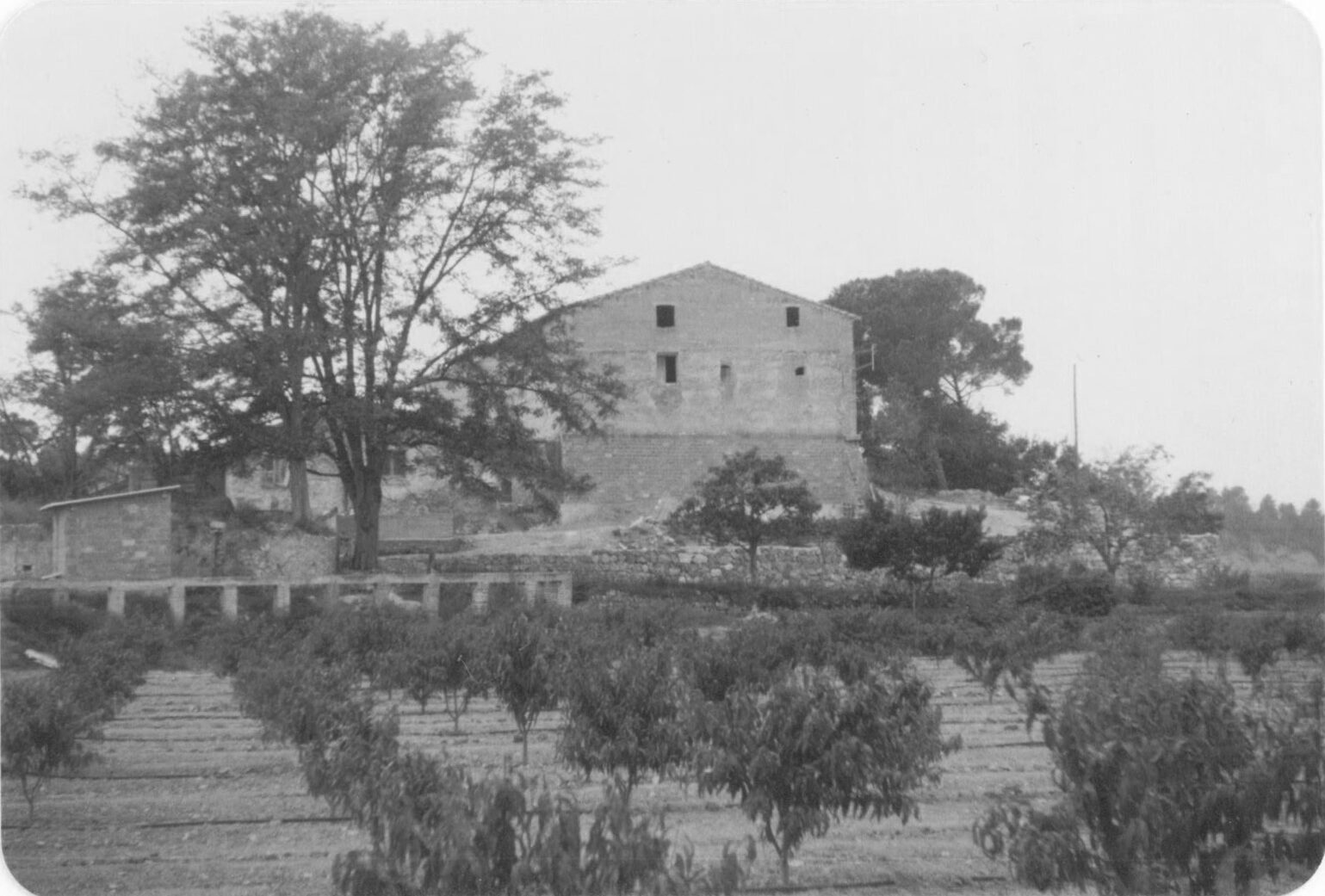 Fotografia antiga en blanc i negre de la masia amb els camps de fruiters
