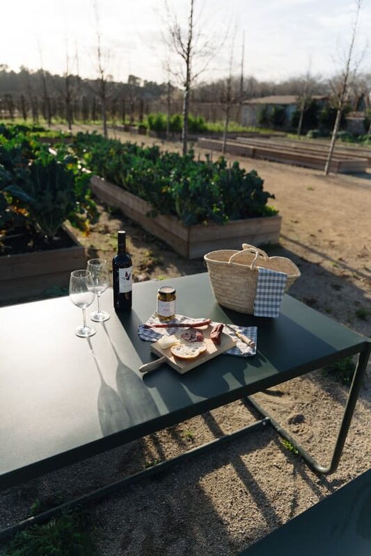 Taula amb vi, formatge i cistell davant els bancals de l'hort