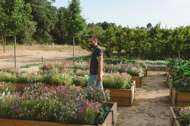 Home passejant entre els bancals florits de l'hort de la finca