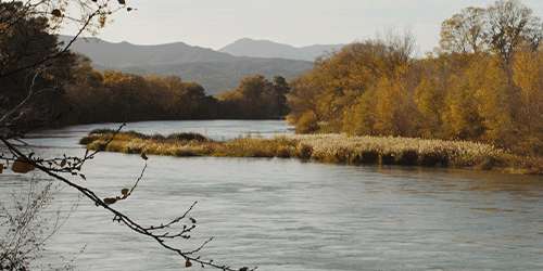 La Finca GIF