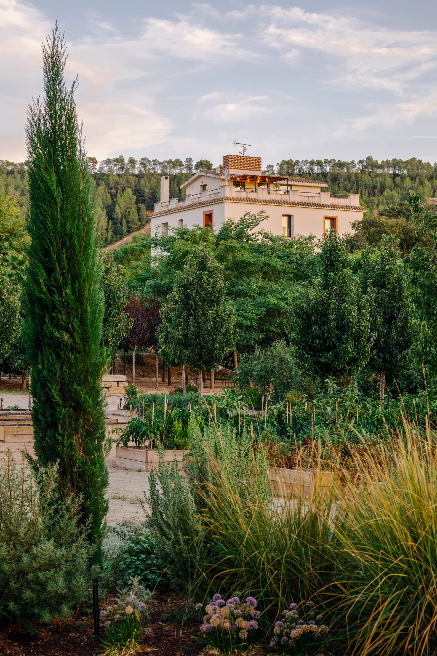 Vista exterior de l'hotel envoltat d'hort, arbres fruiters i bosc al capvespre